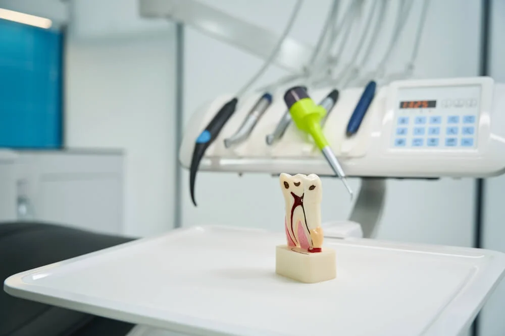 Tooth model on dental tray in clinic.